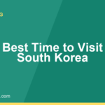 Best Time to Visit South Korea: A Season-by-Season Guide