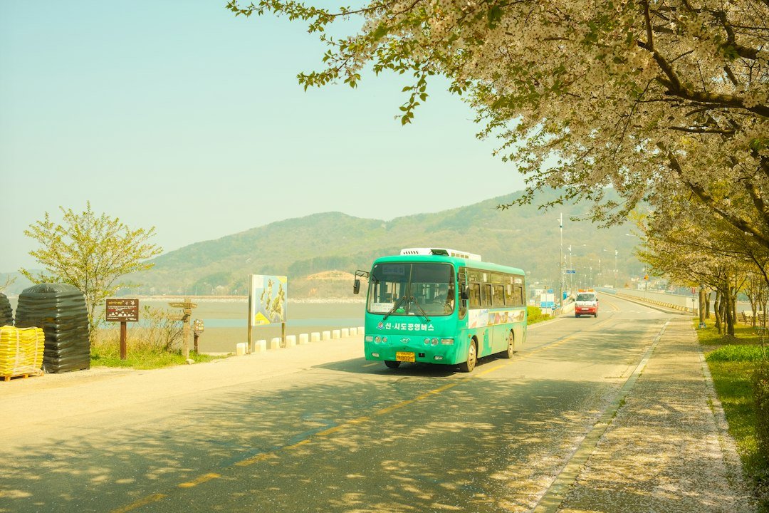 How to Book Express and Intercity Buses in Korea as a Foreign Visitor How to Book Express and Intercity Buses in Korea as a Foreign Visitor